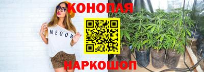 Альфа ПВП Татарск