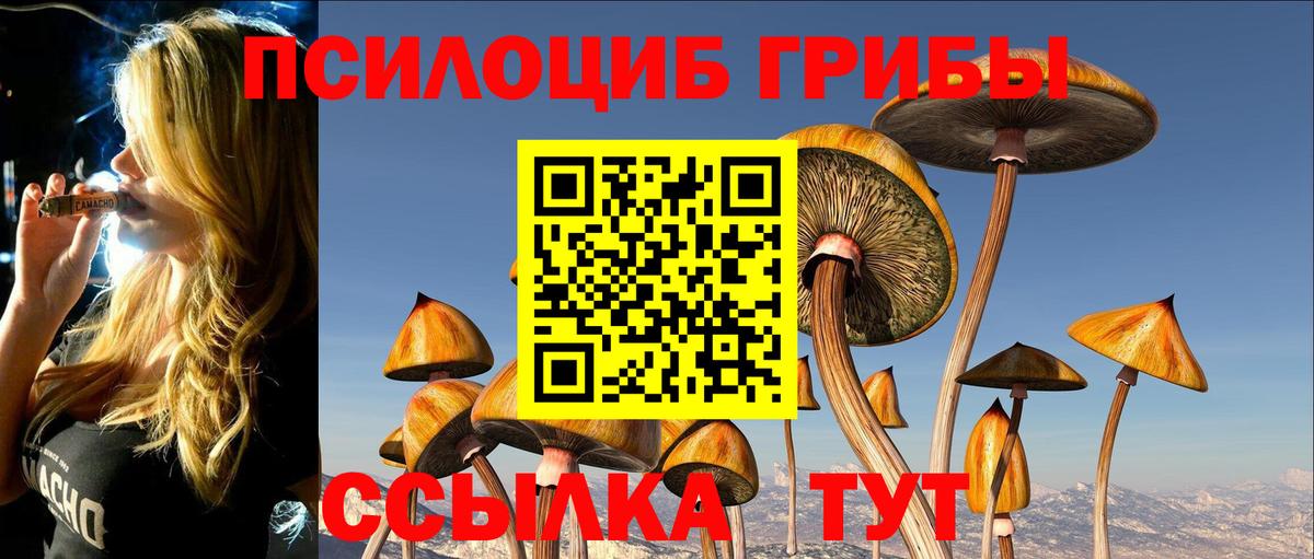 Новороссийск  Псилоцибиновые грибы GOLDEN TEACHER  купить наркотик  Галлюциногенные грибы MAGIC MUSHROOMS  Вход с VPN 