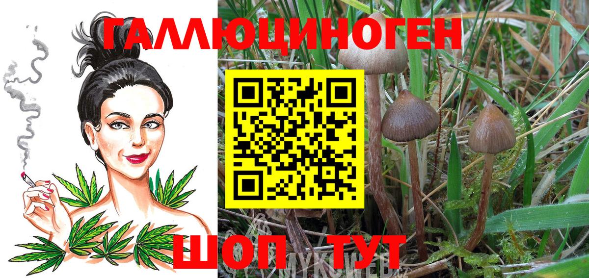 Псилоцибиновые грибы GOLDEN TEACHER Новороссийск